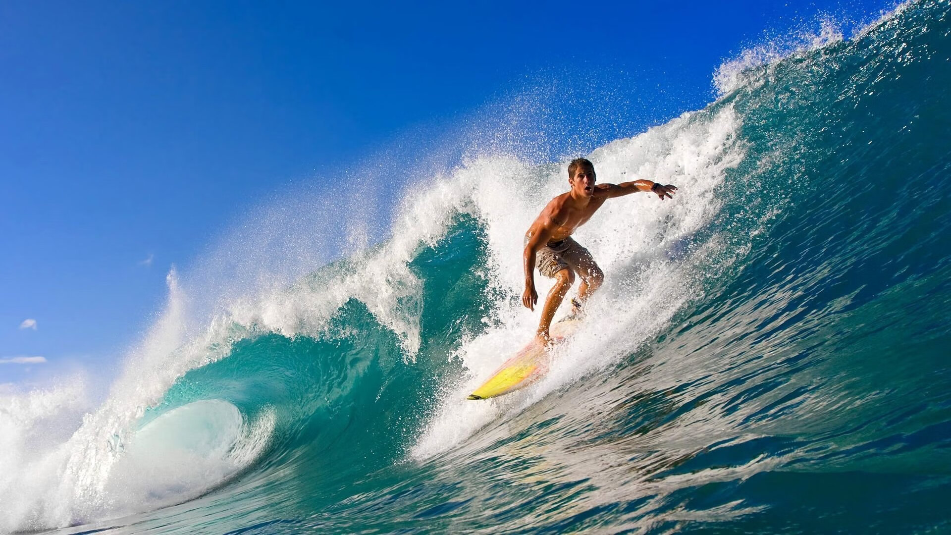 开yun官网-德甲最燃瞬间:一脚世界波震撼全场,德甲第一