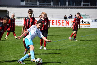 开云在线入口-未来足球场馆实现“碳中和”目标，绿色科技应用成果显著